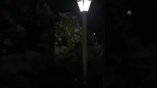 Wayside Inn at Night