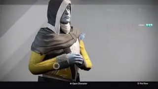 Destiny Wookie Gets 339 Boots post Patch