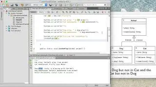 Using Inheritance in Java