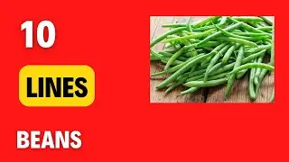 10 lines on Beans