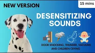Desensitizing Sounds Door Knocking Thunder, Vacuums, Children Crying Overcome Triggers Reactive Dogs