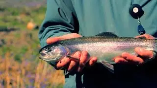 Fly fishing at Kennick Reservoir, Devon, England