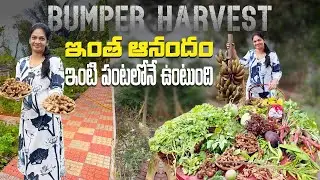 Farm Harvest/ఇవాళ ఎన్ని రకాలు కోసామో @MADGARDENER  #garden #farming #vlog 