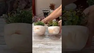 Corante Natural + Cimento | V&iacute;deo passo a passo aqui no canal 🙌🏾