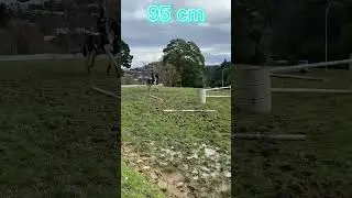 I ended 120!! wow so proud of her....#horse #love #nz #funny #trend #shortsfeed #subscribe