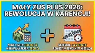 Mały ZUS Plus w 2026 roku. Nowe limity i rewolucja w karencji. Kompletny przewodnik