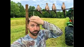 Did we plant our Dove Fields TOO LATE?
