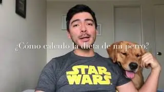 Dieta BARF: Calculando la dieta de mi perro
