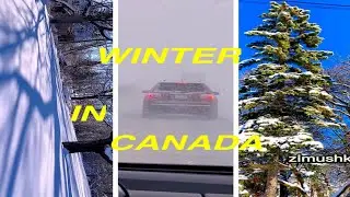 #winter #snow #blizzard #storm #shorts