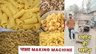 PASTA MAKING MACHINE BIGGEST WAREHOUSE IN DELHI | Earn lakhs a day from this business #machine
