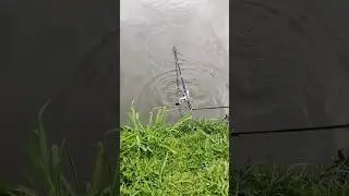 A import&acirc;ncia do salva varas, na modalidade #ultralightfishing #UL #Ultralight