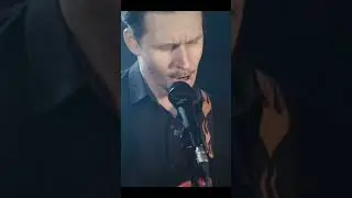 Sting - Fragile - Cover by Dorin Panduru