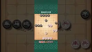 棋坛总司令胡荣华与外星人老王唯一一次交手，两代棋王实际之战#象棋 #喜欢象棋关注我 #街头象棋 #高手在民间 #王天一