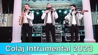 Trupa Art ❌ Program Instrumental ❌ NOU 2023