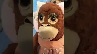 Is monkey a girl or a boy #monkey #baddies #cutebabies #Baddie #Preppy #Diva #Funny￼#MonkeyIsTheBest