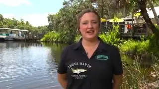 Welcome Back to Snook Haven!