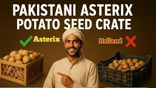 Pakistani Asterix Crate vs Holland | پاکستانی آسترکس کریٹ بمقابلہ ہالینڈ