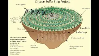 Circular Grass Buffer Strips (Brief)