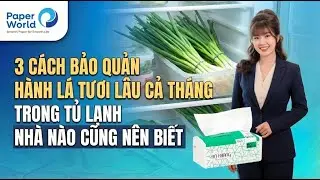 3 Cách Bảo Quản Hành Lá Tươi Lâu Cả Tháng Trong Tủ Lạnh – Nhà Nào Cũng Nên Biết