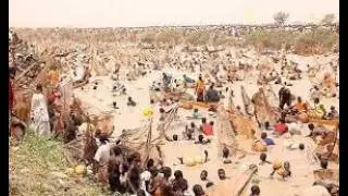 LIVE [KEBBI]: ARGUNGUN FISH FESTIVAL