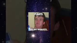 Plants are just vegan pets