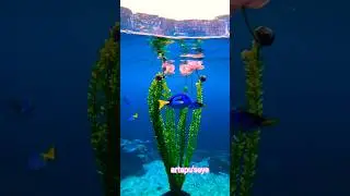 🥰Under water flower🌹#nature #flowers #fish #shortsfeed #shortvideo #artapu'seye@MrBeast