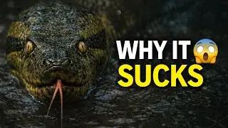 Why It Sucks: Anaconda Ki Zindagi Ka Sach”#anaconda#wildlife #facts 