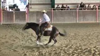 1a tappa APCR 2012 Int Non Pro and Novice Horse Non Pro Champions. Score: 71,5