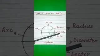 Circle and its parts | Basic Geometry | Maths done  #shorts  #youtubeshorts