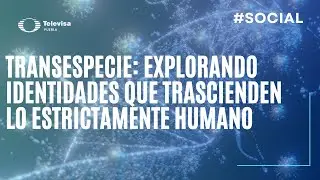 Transespecie: M&aacute;s all&aacute; de la identidad humana