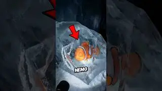 Nemo Wasn&rsquo;t Alone in the Ice. 😱