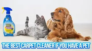 The best Carpet Cleaner if you have a pet