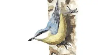 Valsaín, un bosque de Leyenda: El Tesoro de Casarás