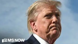 Trump’s net approval rating is NEGATIVE in almost all U.S. states: 'It's REALLY BAD'