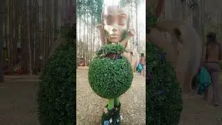 Peekabush 🌳
