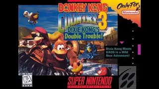 PRIMEIRA LIVE DE DONKEY KONG 3 DO CANAL!