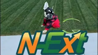 N-Ext Elevated #Lawncology #MolochTheFrenchie #Next #GreeneCountyFert
