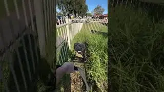 Masport Utility Mower Eating A lot of Grass