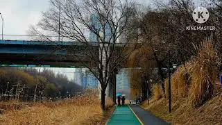 눈이 내리는 날 백로도 걷고 나도 걷는다.