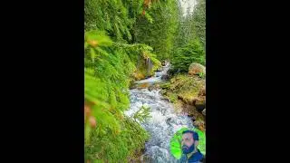 Loog Geet | Beautiful song | Awaaz Barkat Ali | Qureshi
