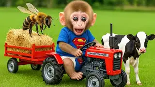 🐒🚜 Monkey Nana vs The Sneaky Thief | Unexpected Farm Chase! 😱💨