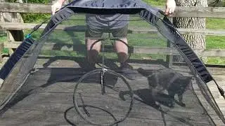 Check out the Instant Portable Cat Tent by RORAIMA