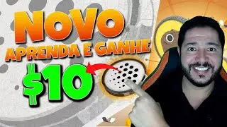 Respostas da campanha IOTA Learn & Earn &ndash; como receber 10 dolares em tokens (coingecko)