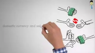 Video 11 Exchange Rate Policy