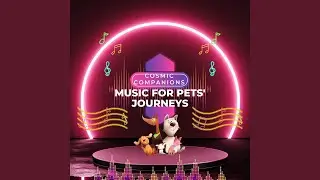Music for Pet Exploration