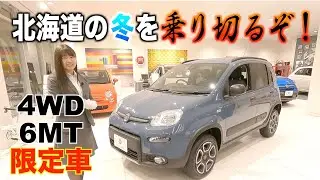 【限定車】干支はトラ！車はパンダ！＠フィアット・アバルト札幌東
