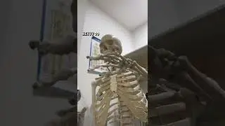 Only medical students vibe with their skeleton this way 🩻😂