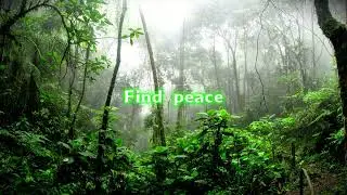 Calming Rain Sounds | Natural Ambience