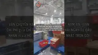 VẬN CHUYỂN NHẬT &ndash; VIỆT SI&Ecirc;U NHANH &ndash; CHỈ  từ 89K/KG 💥