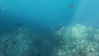 Egipt Marsa Alam styczeń 2026